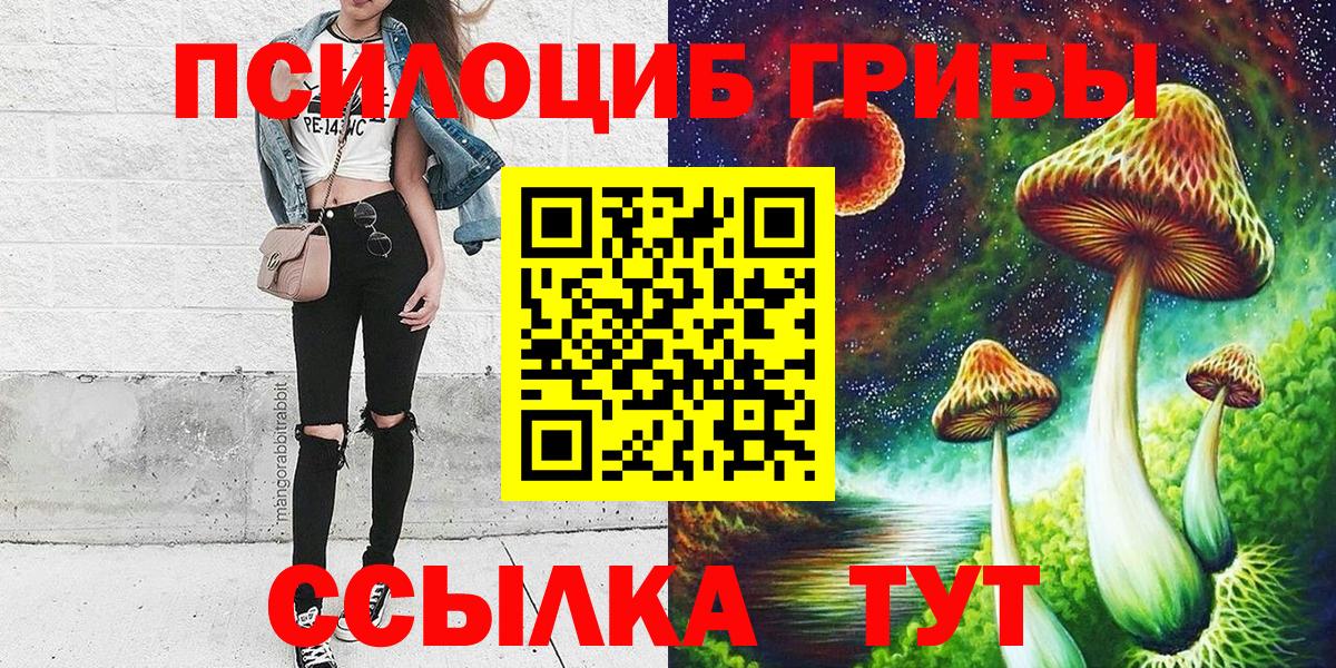 Псилоцибиновые грибы Cubensis Ярославль