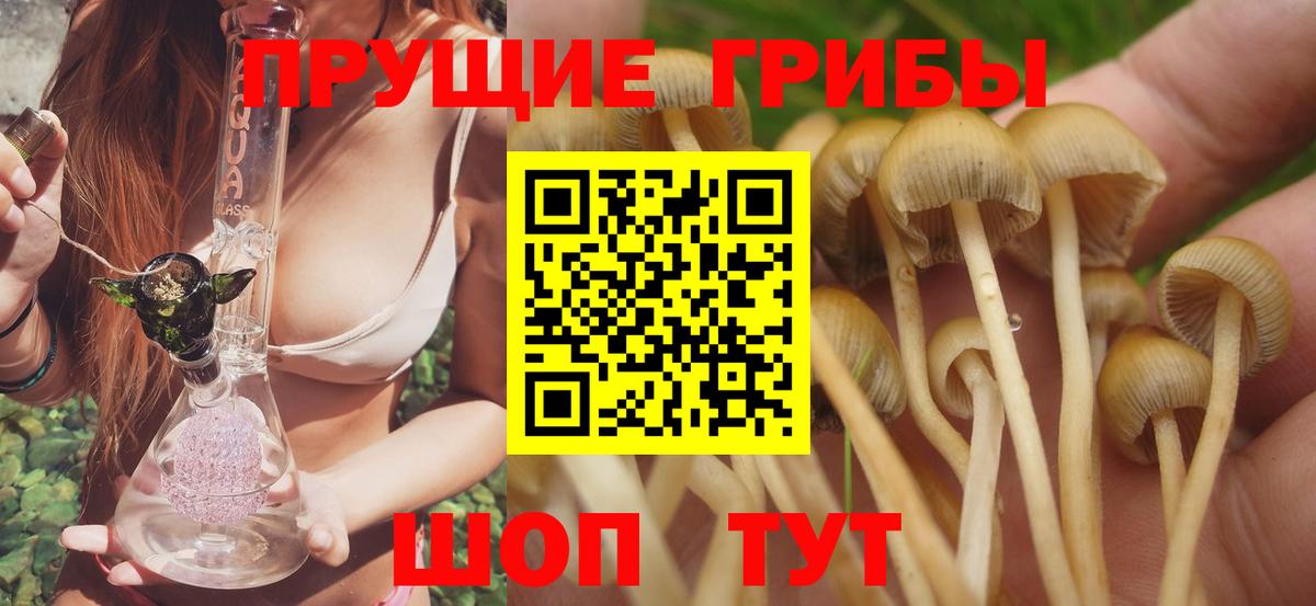 Ярославль  Галлюциногенные грибы мицелий  Галлюциногенные грибы ЛСД  Вход с VPN 